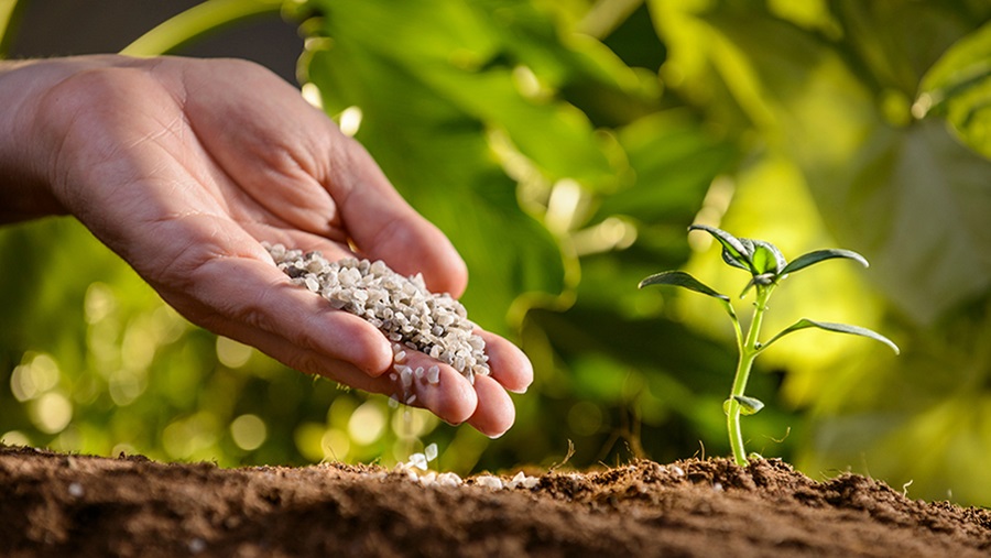 گوگرد برای کشاورزی