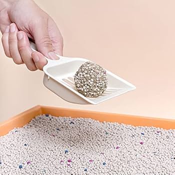 بنتونیت خاک گربه